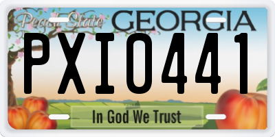 GA license plate PXI0441