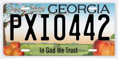 GA license plate PXI0442