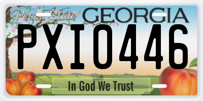 GA license plate PXI0446