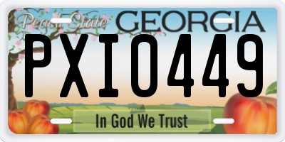 GA license plate PXI0449