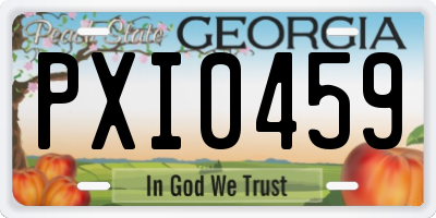 GA license plate PXI0459