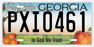 GA license plate PXI0461