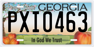 GA license plate PXI0463