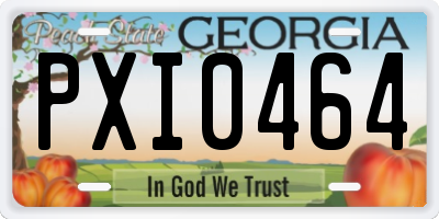 GA license plate PXI0464