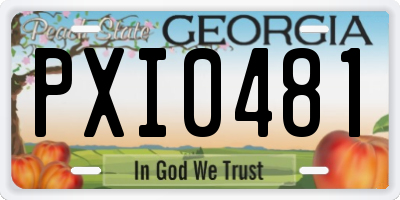 GA license plate PXI0481
