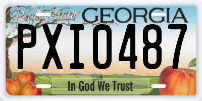 GA license plate PXI0487