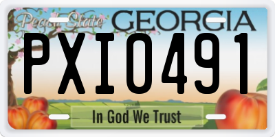 GA license plate PXI0491