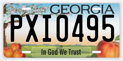 GA license plate PXI0495