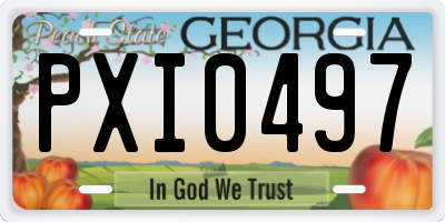 GA license plate PXI0497