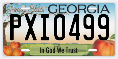 GA license plate PXI0499