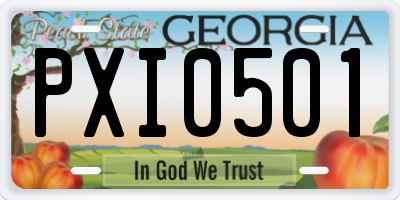 GA license plate PXI0501