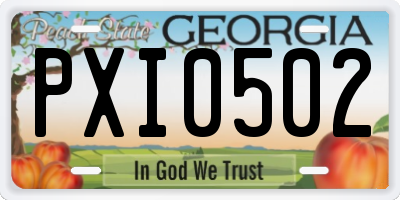 GA license plate PXI0502