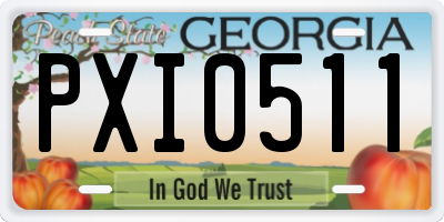 GA license plate PXI0511