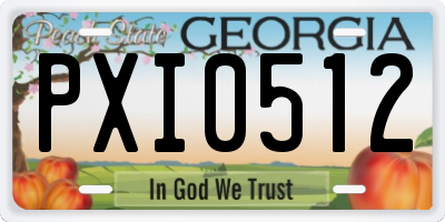 GA license plate PXI0512