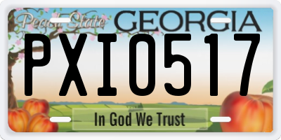 GA license plate PXI0517