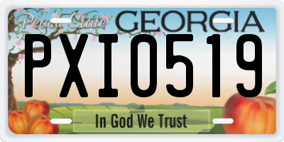 GA license plate PXI0519