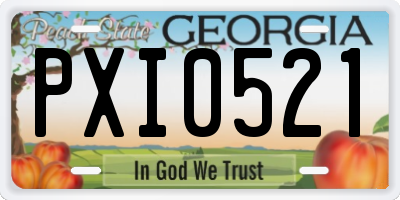 GA license plate PXI0521