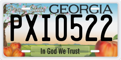 GA license plate PXI0522