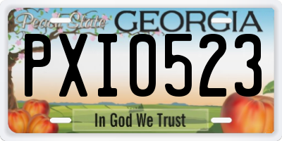 GA license plate PXI0523