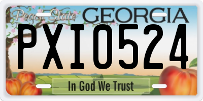 GA license plate PXI0524