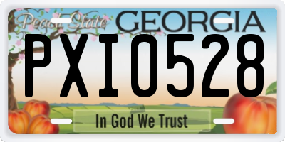 GA license plate PXI0528
