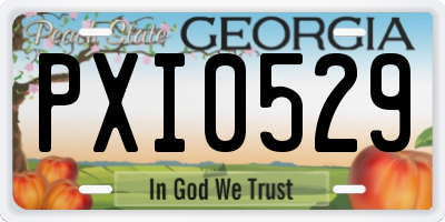 GA license plate PXI0529