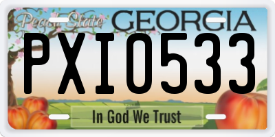 GA license plate PXI0533