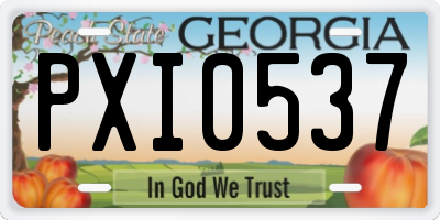 GA license plate PXI0537
