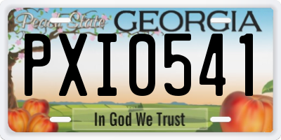 GA license plate PXI0541