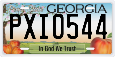 GA license plate PXI0544