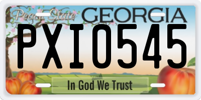 GA license plate PXI0545