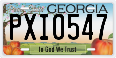 GA license plate PXI0547