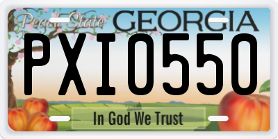GA license plate PXI0550