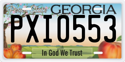 GA license plate PXI0553