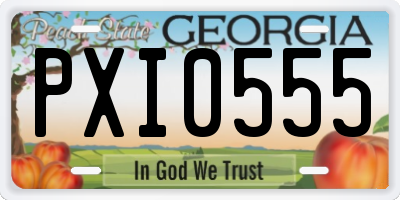 GA license plate PXI0555