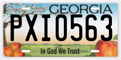 GA license plate PXI0563
