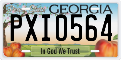 GA license plate PXI0564
