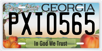 GA license plate PXI0565