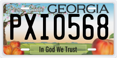 GA license plate PXI0568