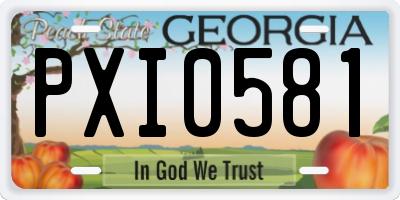 GA license plate PXI0581