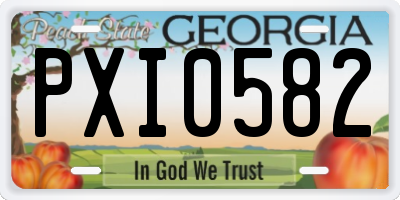 GA license plate PXI0582