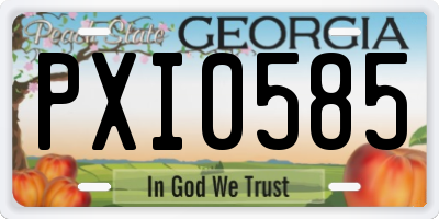 GA license plate PXI0585