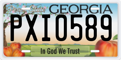 GA license plate PXI0589
