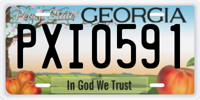 GA license plate PXI0591