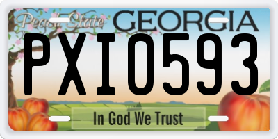GA license plate PXI0593