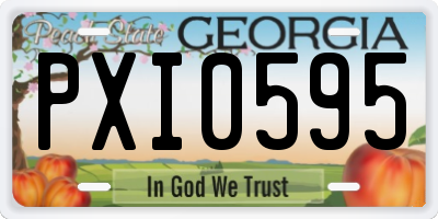 GA license plate PXI0595