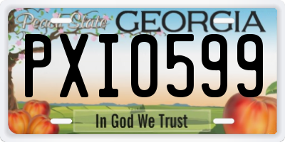 GA license plate PXI0599