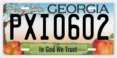 GA license plate PXI0602