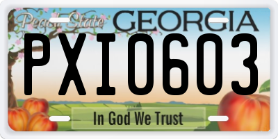 GA license plate PXI0603