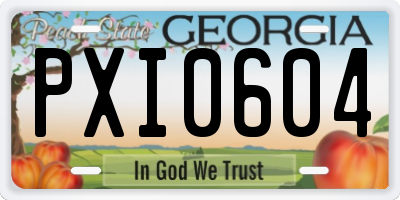 GA license plate PXI0604